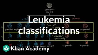 Leukemia classifications  Hematologic System Diseases  NCLEXRN  Khan Academy [upl. by Cohl210]