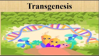 What is Transgenesis and How does it work [upl. by Lopes]