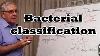 Bacterial Classification [upl. by Agbogla536]