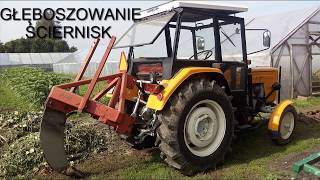 ☆Głęboszowanie ściernisk☆2017☆URSUS C360☆ [upl. by Guyer]