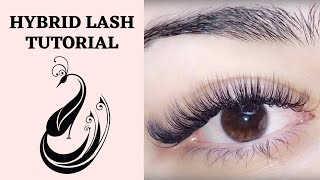 Hybrid Eyelash Extension Tutorial C amp D Curl  Is it OK to mix curls  Eyelash Extensions 101 [upl. by Iclek881]