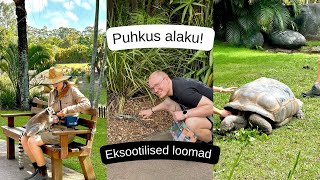 Vlog 55  PUHKUS ALAKU AVASTAME AUSTRAALIAT [upl. by Noived993]