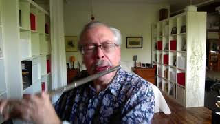 Bill McBirnie  Monkey House  Commercial Haynes Flute  Straubinger Pads  Mike Filice [upl. by Lyndon]