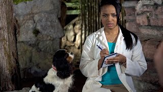 Dr Dolittle 2 Full Movie Facts Story And Review  Eddie Murphy  Kristen Wilson [upl. by Goto]