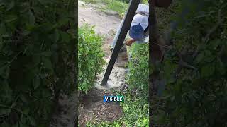 Instala tu Malla Ciclónica tú mismo DIY Construcción Hogar Seguridad jardin vivero [upl. by Gronseth]