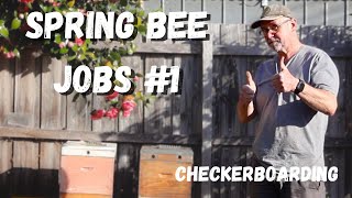 Essential Spring Bee Jobs 1 Checkerboarding [upl. by Llerut]