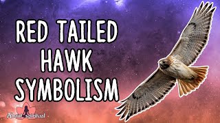 Red Tailed Hawk Symbolism [upl. by Ayotol843]