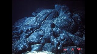 Mid oceanic ridge basalt 💯 SP Geology [upl. by Animor]