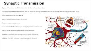 Biopsychology  Revision [upl. by Helene]