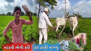 Mandvi Bhegi Kari  Har Hanki Nakhyu  farmerlife [upl. by Berg495]