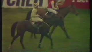 1988 Heidsieck Dry Monopole Handicap Chase  Liverpool 08041988 [upl. by Atsyrk]