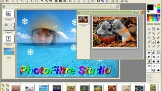 PhotoFiltre Studio FULL CRACK ESPAÑOL XP y W7 [upl. by Avihs]