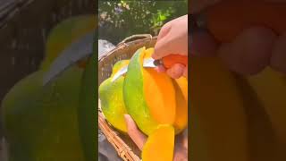 🥭Mangifera indica🥭 mango viral fruit fruitcutting satisfying yummy shorts fyp viralshorts [upl. by Nnaj]