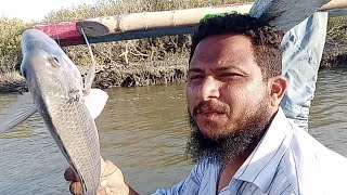 Arjeena fishing point jheel wali juar pani ka shikar Shakeelfishingfun [upl. by Ateuqal573]