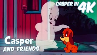 Caspers Puppy Pal 🐶 🦴  Casper and Friends in 4K  1 Hour Compilation  Full Episode  Cartoon [upl. by Rehpotsrhc]