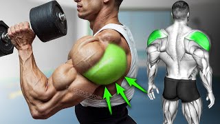 5 Best Rear Delt Exercise BOULDER SHOULDERS [upl. by Irat]