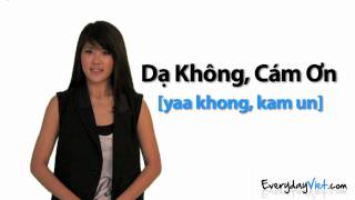 Learn Vietnamese Lesson 2 Yes No Maybe and No Thank You in Vietnamese [upl. by Adnovaj965]