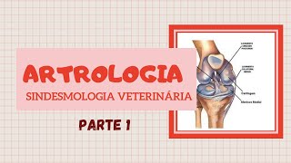 Articulação Veterinária Sindesmologia  PARTE 1  Estude Veterinário [upl. by Anehsak318]