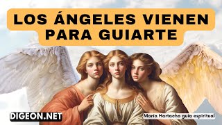 DÉJATE GUIAR POR LOS ÁNGELES💌MENSAJE DE LOS ÁNGELES PARA TI DIGEON  Arcángel Jeremiel Ens VERTI [upl. by Olra]