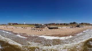 Strandrace Egmond Pier Egmond [upl. by Elman]