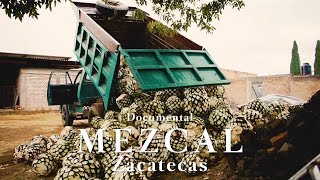 DOCUMENTAL del MEZCAL en ZACATECAS  Mezcal Derrumbes  Chemyta78 [upl. by Anauqahs]