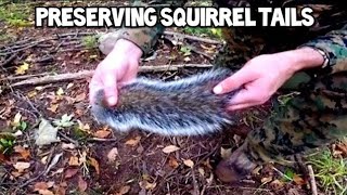 Preserving a Squirrel Tail  Deboning the Tail [upl. by Lladnor]