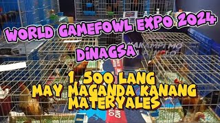 WORLD GAMEFOWL EXPO 2024 ep6 DINAGSA [upl. by Klarrisa]