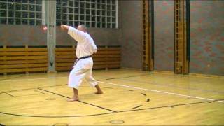 Kata Lexikon  Heian Shodan  langsam [upl. by Mcroberts]