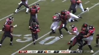 CFL Top 10 Plays of 2013 [upl. by Ait]