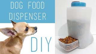 DIY Easy PuppyDogKittenCat Food Dispenser Using Plastic Containers [upl. by Nahsar759]