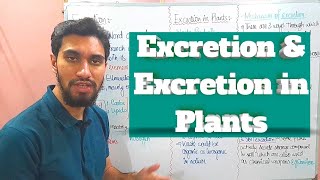 EXCRETION  EXCRETION IN PLANTS  Zeeraks Biology [upl. by Ayikin]