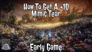 How To Get A Mimic Tear To 10 Early Game  Elden Ring [upl. by Brottman]