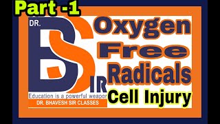 Oxygen Free Radicals  Reactive Oxygen Species  Pathology  DrBhavesh Sir Classes [upl. by Nilecoj]