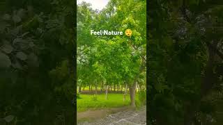 Feel the nature sound nature untouchable hiddengems surat [upl. by Marybeth243]