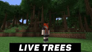 Dynamic Trees mod tutorial Guide Realistic trees Minecraft java [upl. by Yendahc]