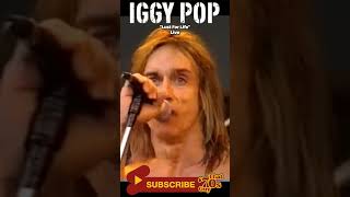 Iggy Pop  Lust For Life  Live [upl. by Mauralia]