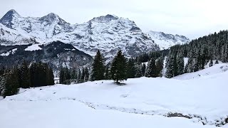 Scenic train ride in Jungfrau region Switzerland [upl. by Eirrac]