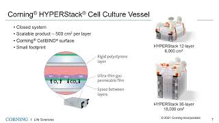 Tools for Simplifying MSC Expansion Cryopreservation and DMSO Removal [upl. by Annet]