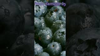 Aronia fruit fruitshorts youtubeshorts youtubeshortsvideo aronian [upl. by Cowley659]