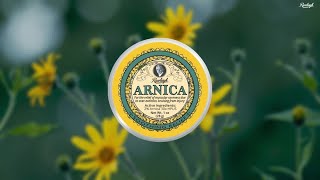 Harness the Potent Soothing Properties of Arnica 🌼 [upl. by Kaitlynn]