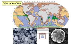 13  Deep sea sediments [upl. by Ecineg]