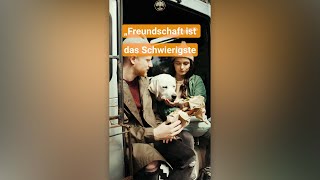 Zitate Freundschaft Die Bedeutung von Freundschaft shorts [upl. by Surtimed319]