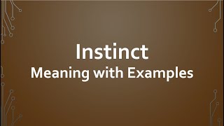 Instinct Meaning with Examples [upl. by Ikin]