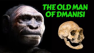 Dmanisi Hominids  Mysterious Archaic Human Origins Explained [upl. by Christy453]