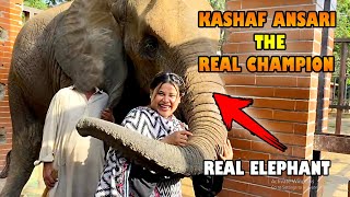 Kashaf Ansari The Real Champion  With Age 100 Year Elephant  KASHAF VLOG [upl. by Ycnalc]