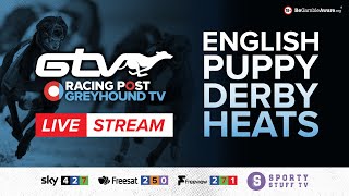 RPGTV English Puppy Derby Heats  Sunday 12 November  Live Greyhound Racing [upl. by Bord699]