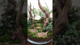 How closed terrariums work [upl. by Ramedlaw]