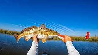 The EASIEST Way to Catch REDFISH  NO LIVE BAIT NEEDED [upl. by Almeta]