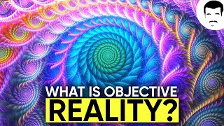 Do Psychedelics Unlock a Deeper Truth With Rick Doblin amp Neil deGrasse Tyson [upl. by Ailemak681]