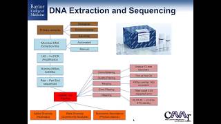 Characterizing the microbiome of neonates and infants [upl. by Frodina]